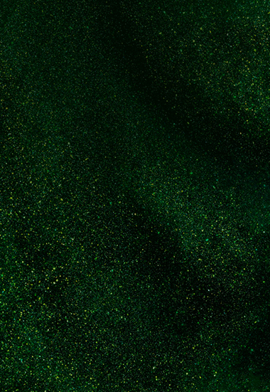 Data Discovery Image